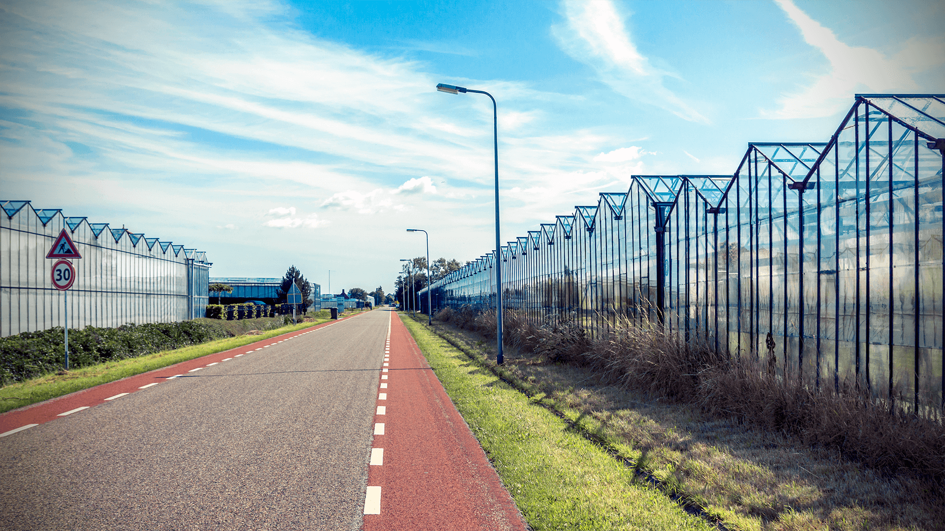 Webseite für Ihr Unternehmen oder Ihre Organisation in Westland erstellen lassen. Webseite für Ihr Unternehmen oder Ihre Organisation in Westland erstellen lassen.