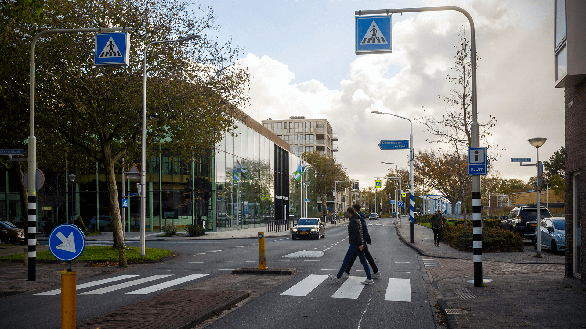 Professionelle Webseite für Unternehmen und Organisationen in Naaldwijk, Westland.