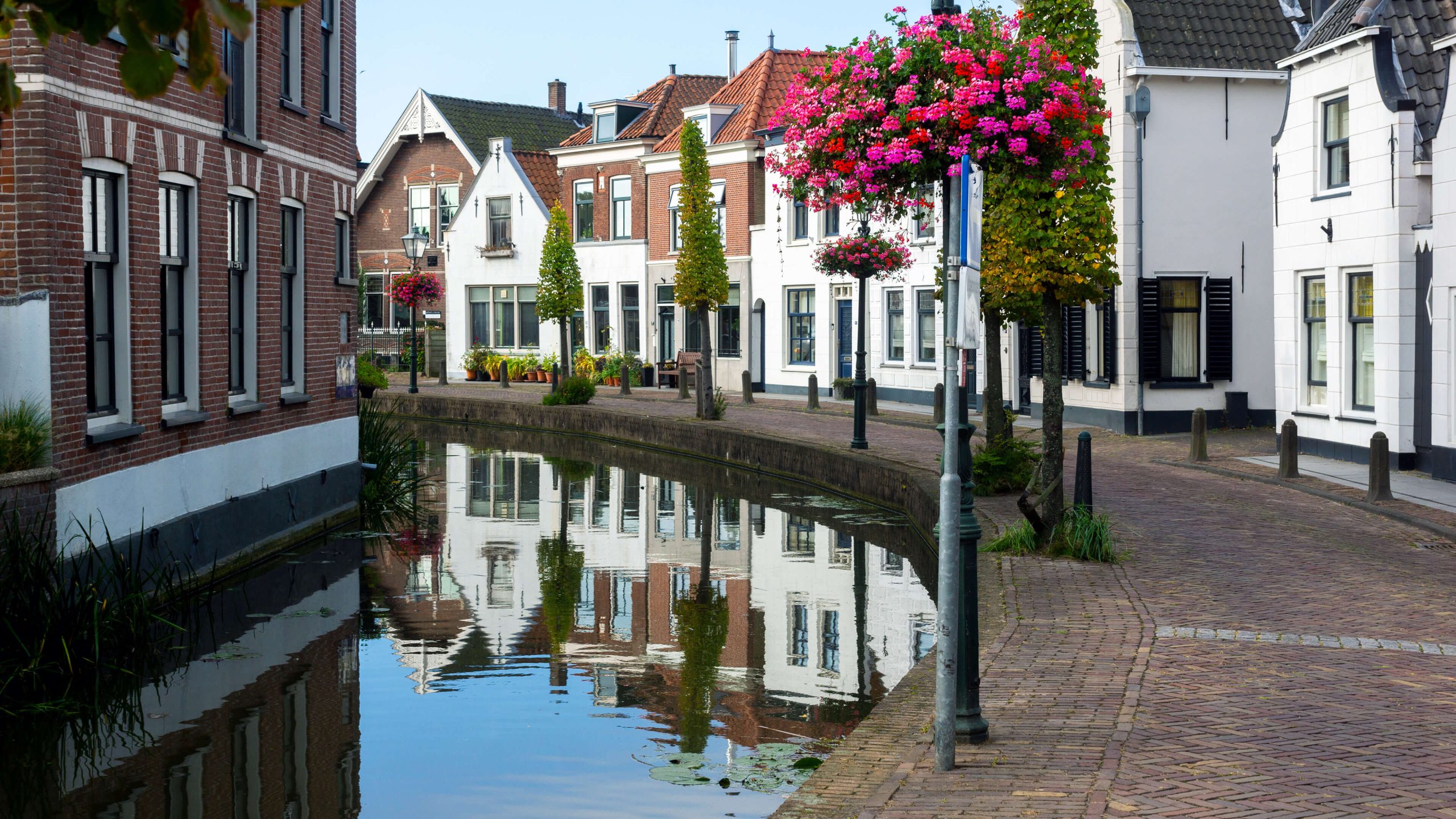 Webseite für Ihr Unternehmen in Midden-Delfland erstellen lassen. Webseite für Ihr Unternehmen in Midden-Delfland erstellen lassen.