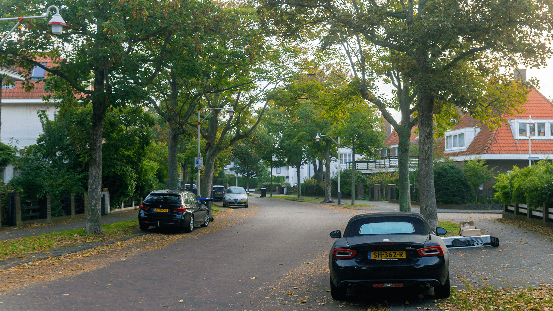 Webseite im Vogelwijk in Den Haag erstellen lassen. Webseite im Vogelwijk in Den Haag erstellen lassen.