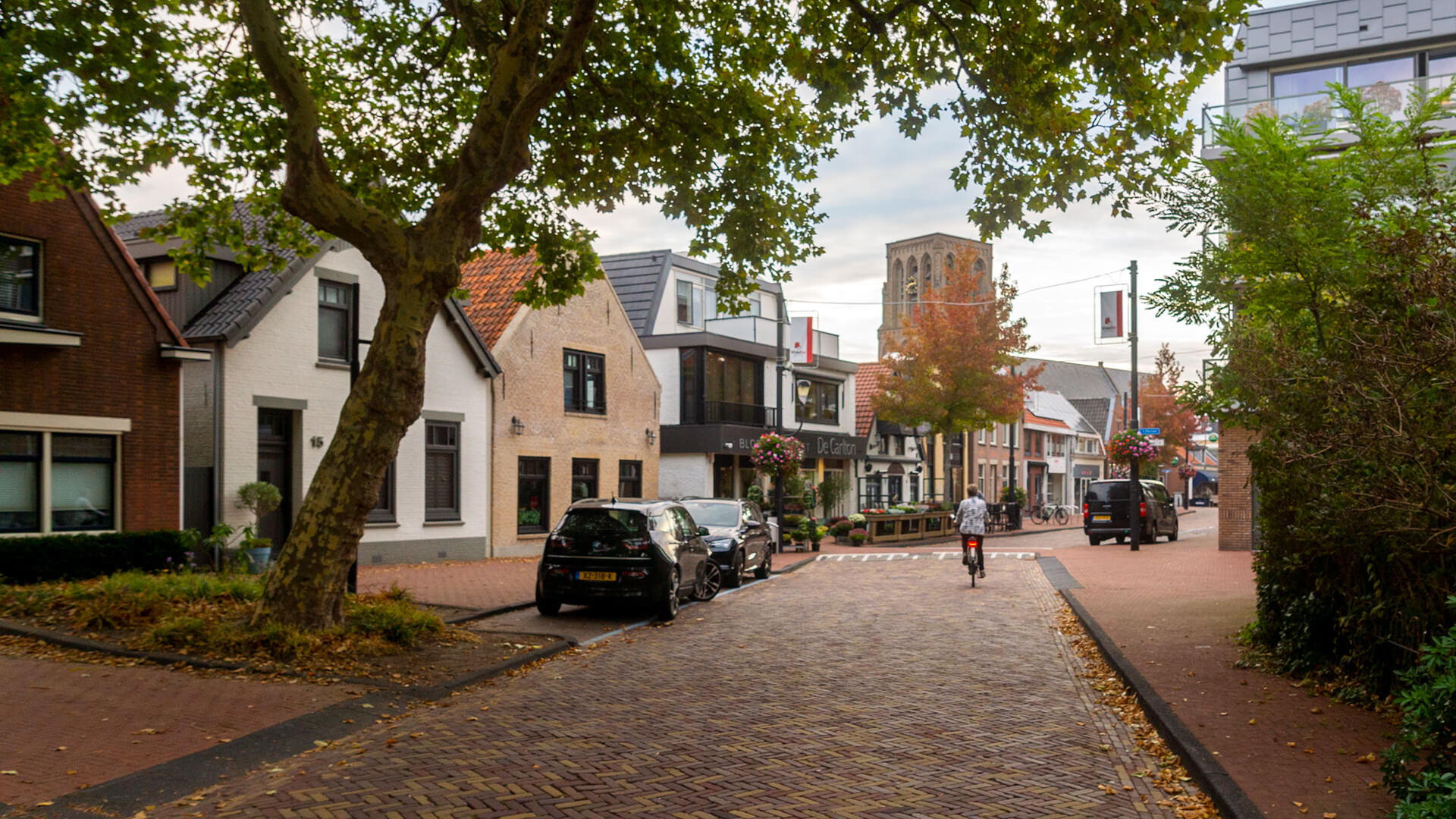 Professionelle Website erstellen lassen in De Lier (Westland).