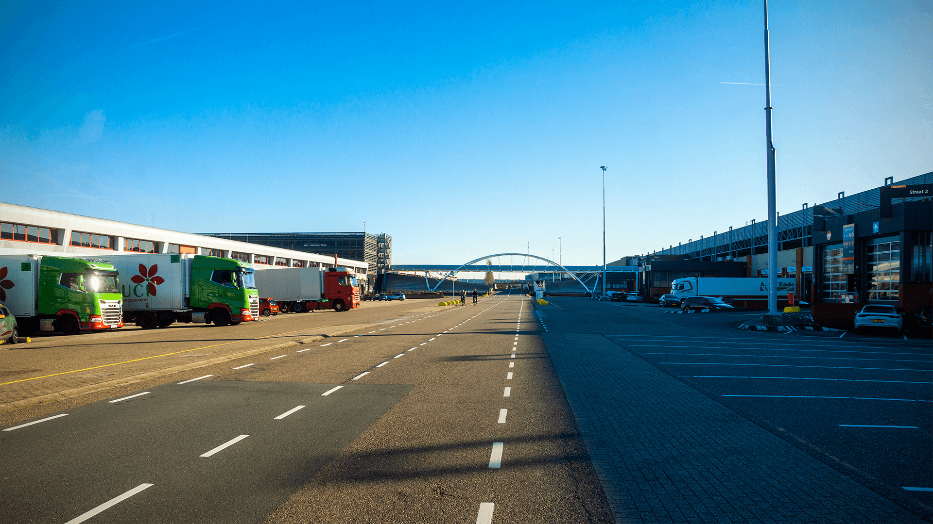 Professionelle Website erstellen lassen in Honselersdijk (Westland).