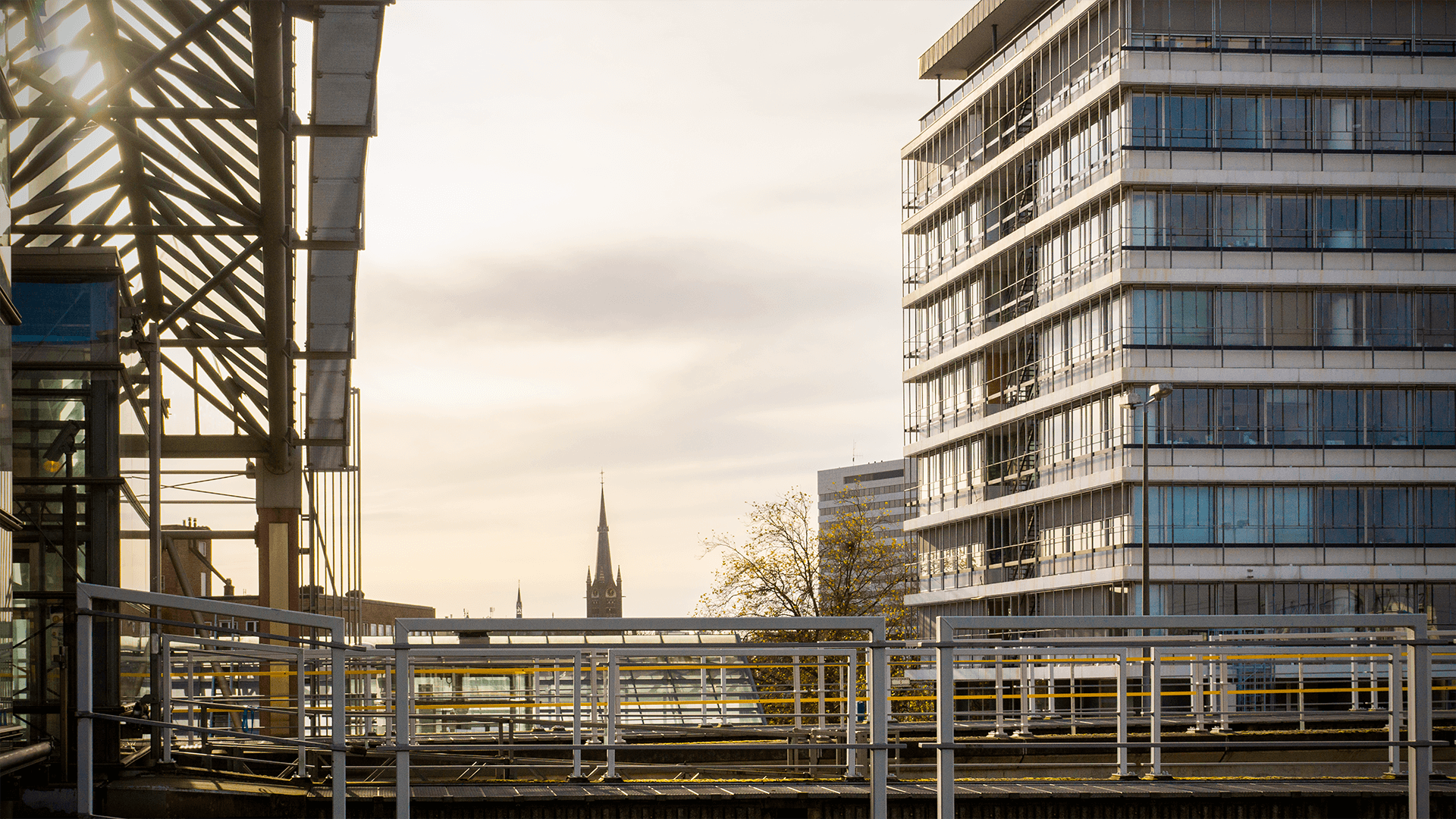 Website in Schiedam erstellen lassen für Ihr Unternehmen oder Ihre Organisation? Entscheiden Sie sich für professionelles Webdesign mit SEO und hoher Online‑Sichtbarkeit.